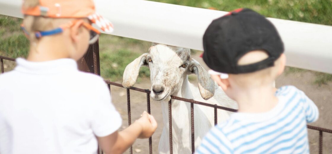 5 Pinksteren activiteiten voor kinderen in Nederland