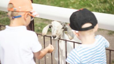 5 Pinksteren activiteiten voor kinderen in Nederland